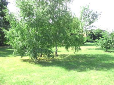 La Maison Tournesol - 3 Bedroom House With Large Garden Near Saumur Saint-Martin-de-la-Place Exterior photo